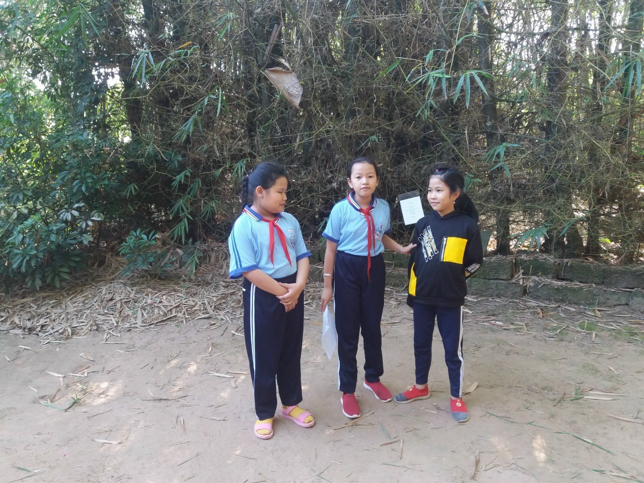 Z2259169388795 20a3660c1cf7335934cd6b832e5d091b